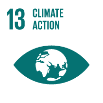TheGlobalGoals_Icons_Black_Goal_13